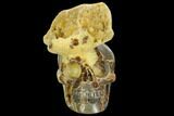 Septarian with Polished Skull - Madagascar #127608-2